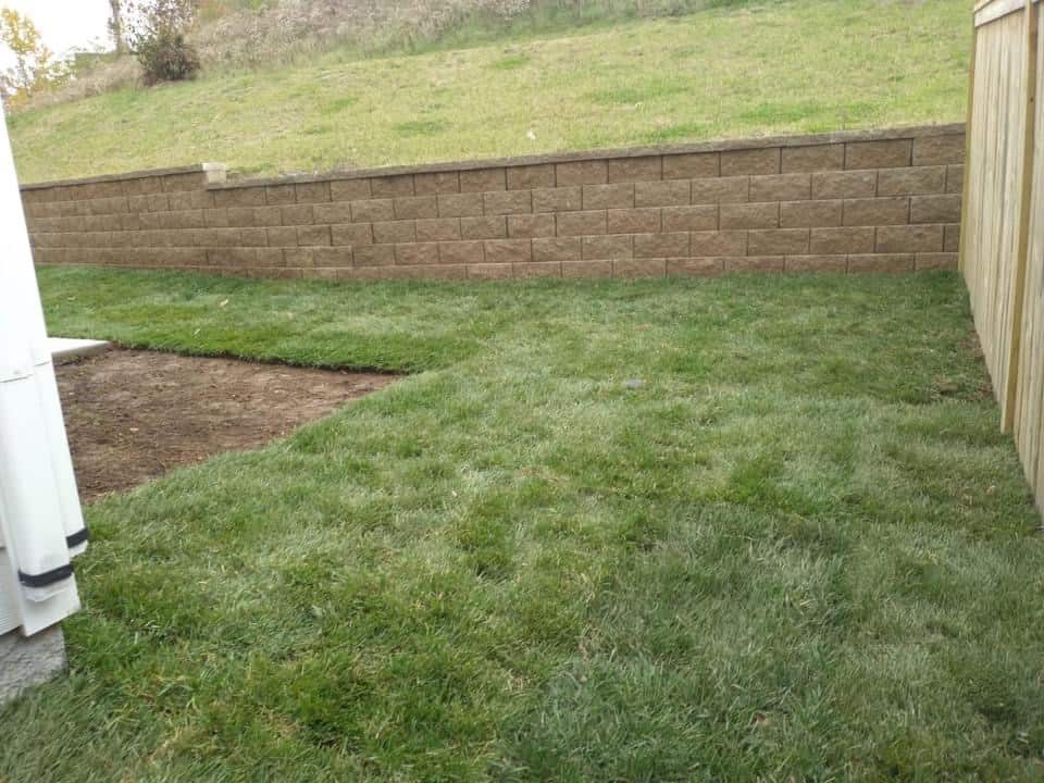 Fescue Sod Sod Source TN LLC