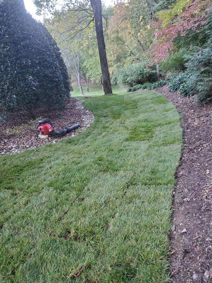 Fescue Sod Sod Source TN LLC