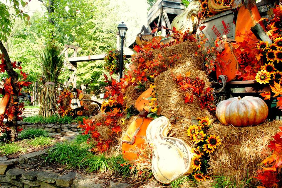 Dollywood Fall Schedule 2024 5 Reasons to Visit Dollywood in the Fall
