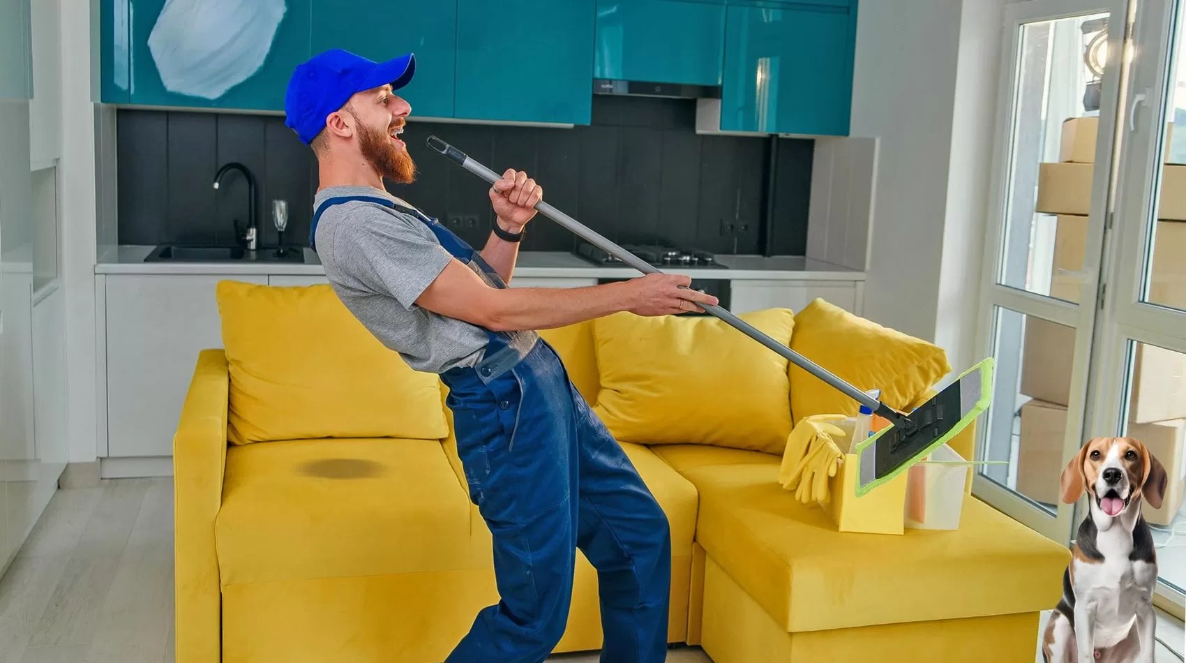 How To Remove Dog Pee Stain From Sofa 12 Best Tricks