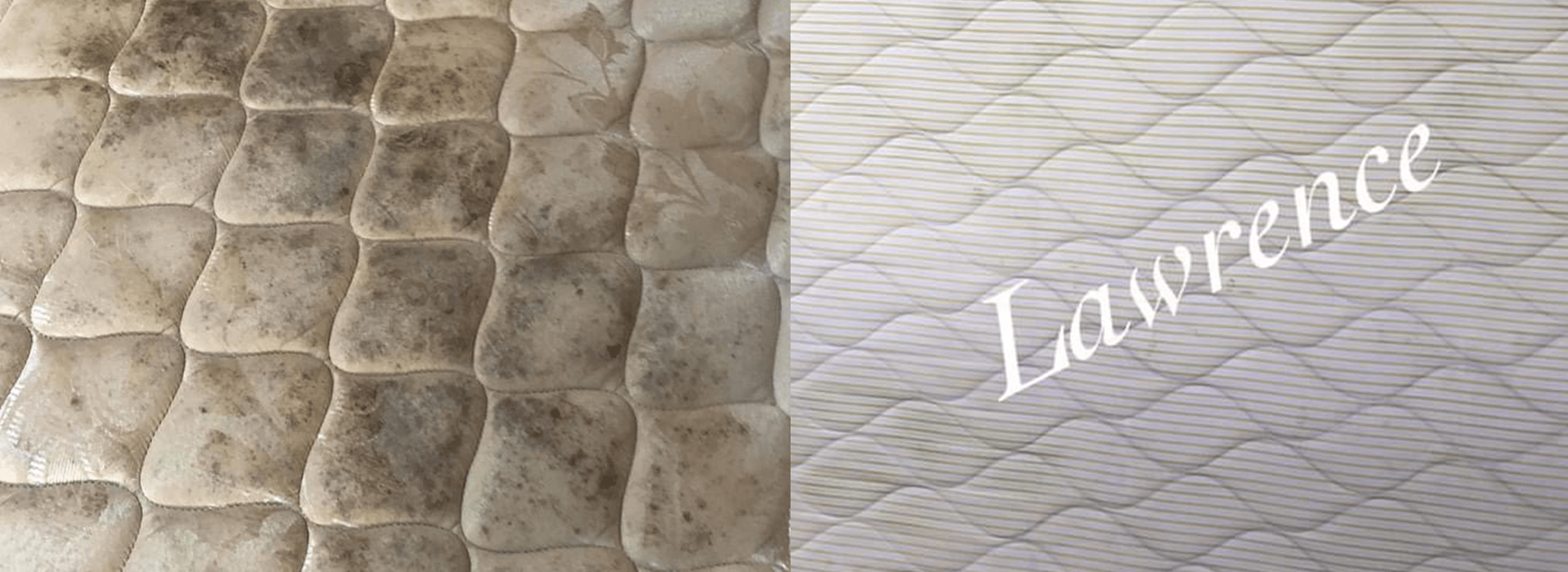 Dust Mite Treatment Lawrence Sofa and Upholstery Cleaning Malta