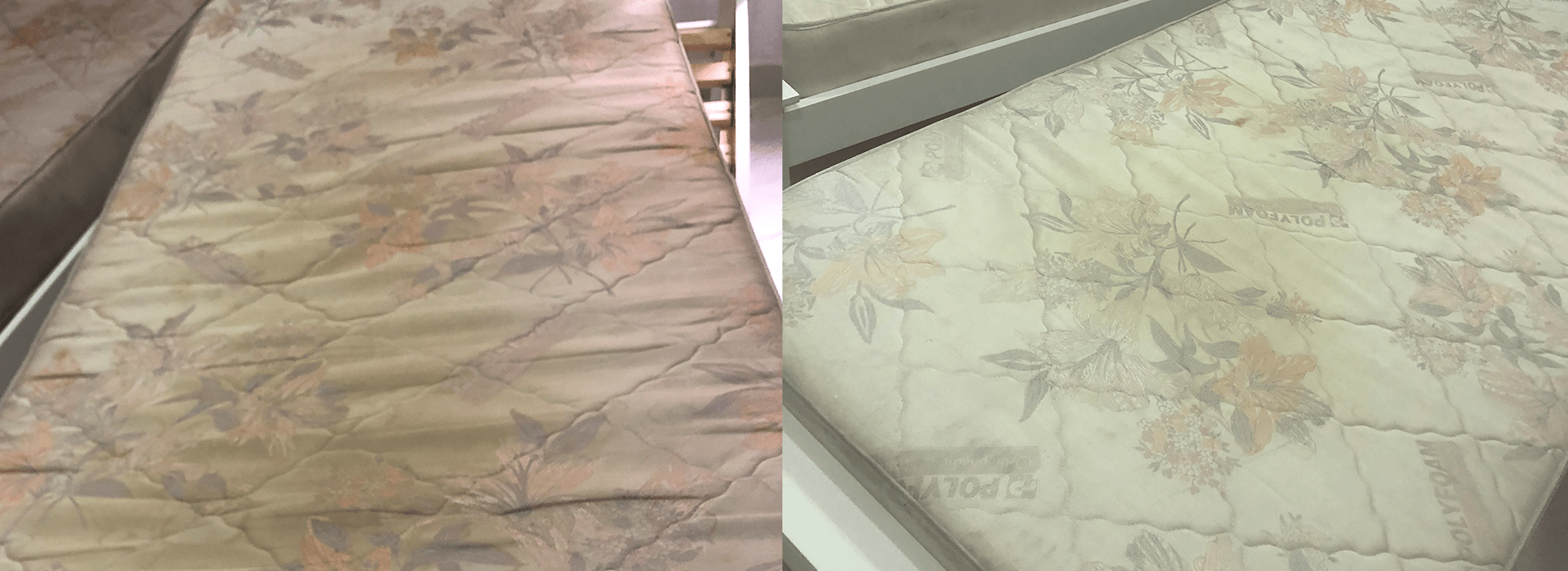 Dust Mite Treatment Lawrence Sofa and Upholstery Cleaning Malta