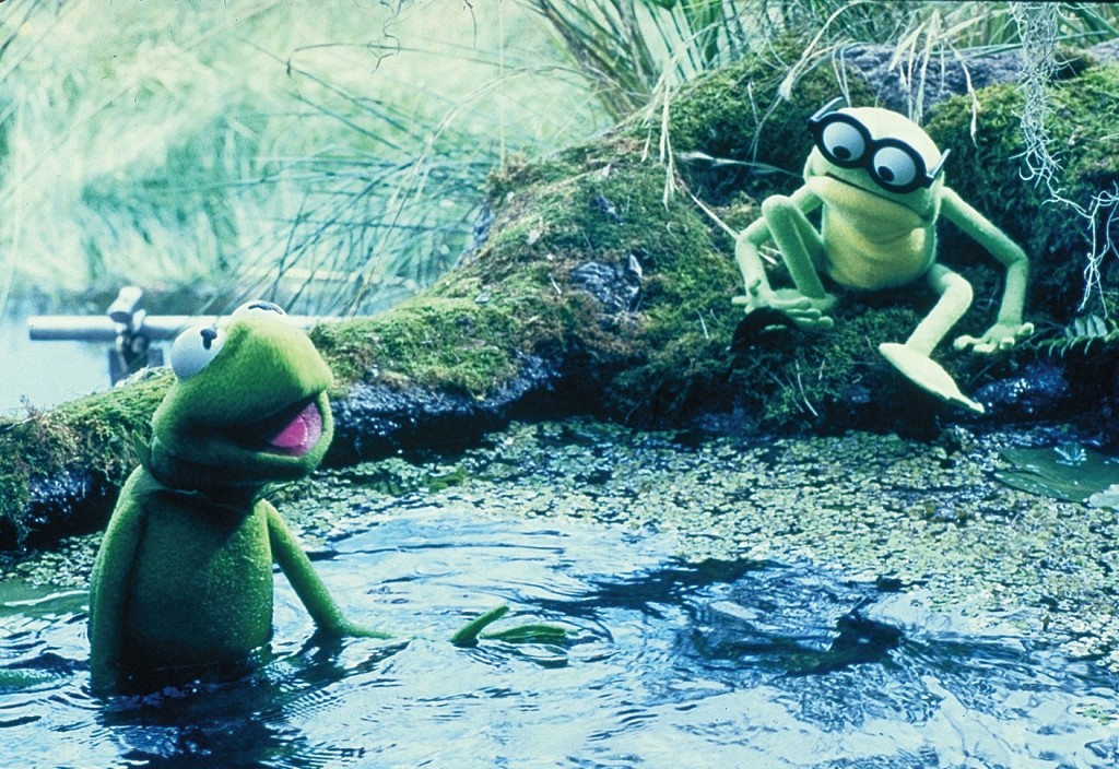 Kermit Der Frosch sofahelden