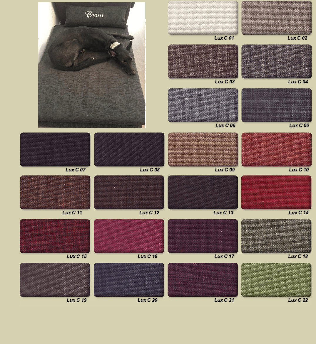 TIPOS DE TAPICERÍA SOFAS Y CAMAS PARA PERROS