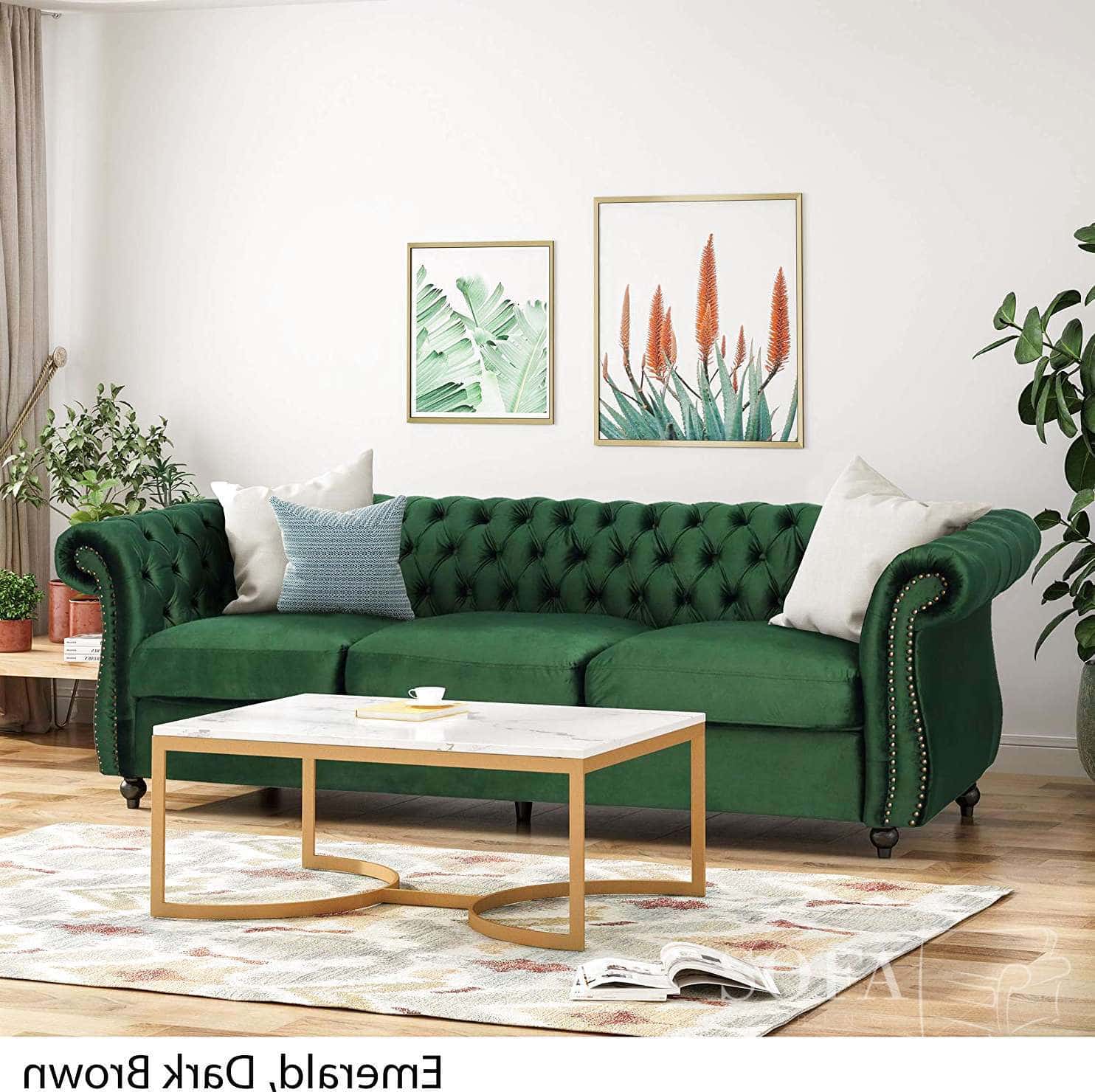 Our Top 3 Green Couches Charming & Elegant