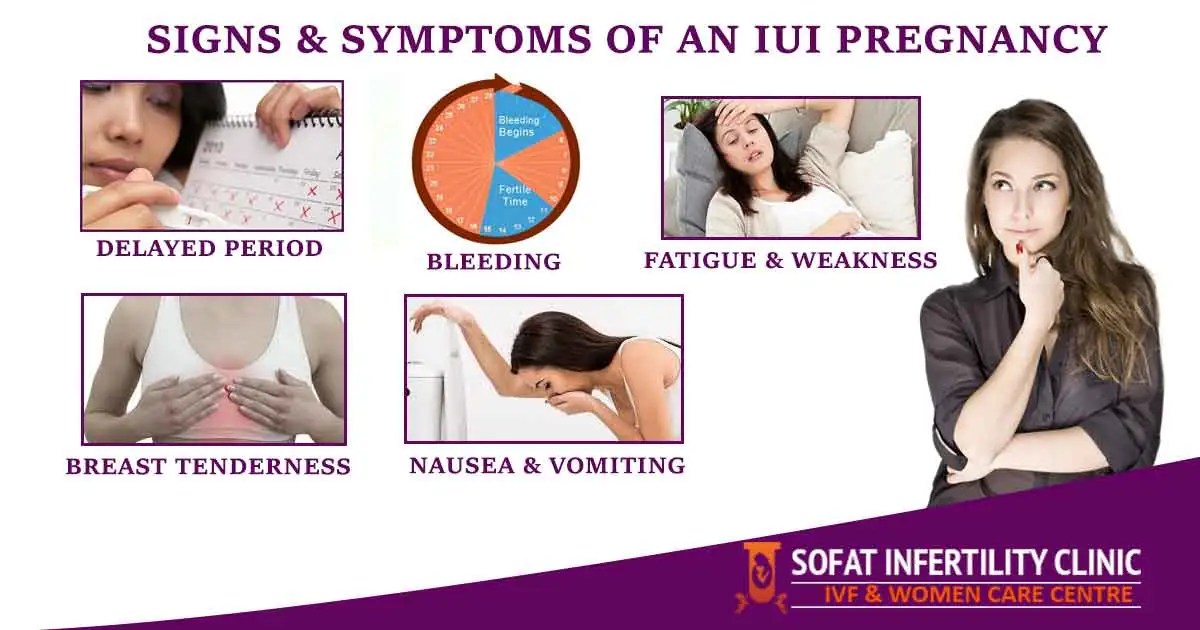 This Certainly Confirms An IUI Pregnancy