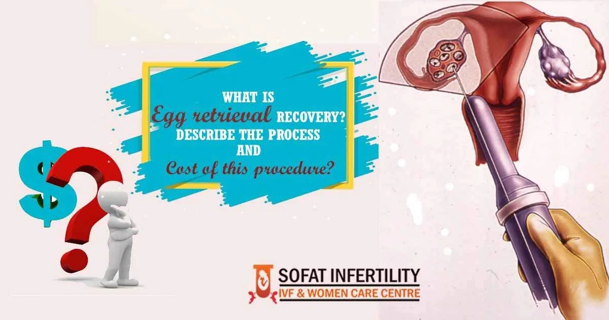 What is Egg retrieval Recovery? Describe the Process and Cost of this