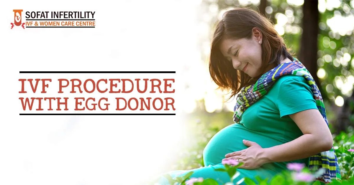 Everything you need to know about IVF procedure with Egg donor