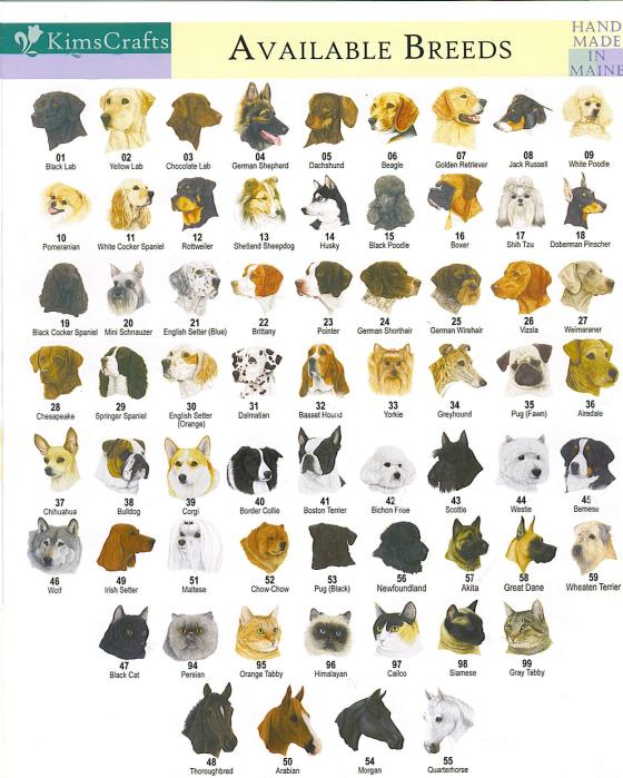 Names Of All Types Of Dogs
