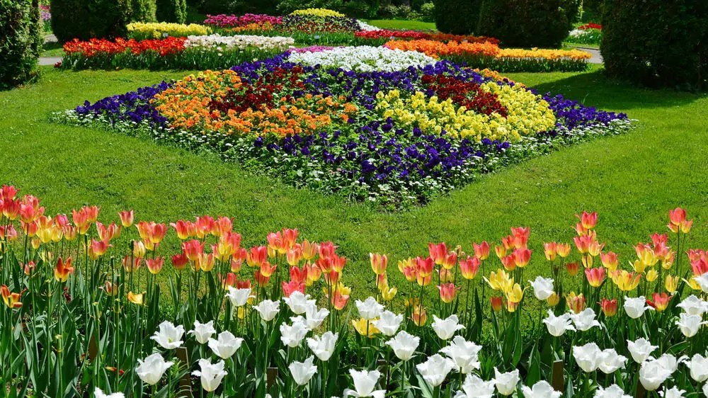 Great Things to Do in Cluj Napoca for a Fantastic Vacation! Sofia