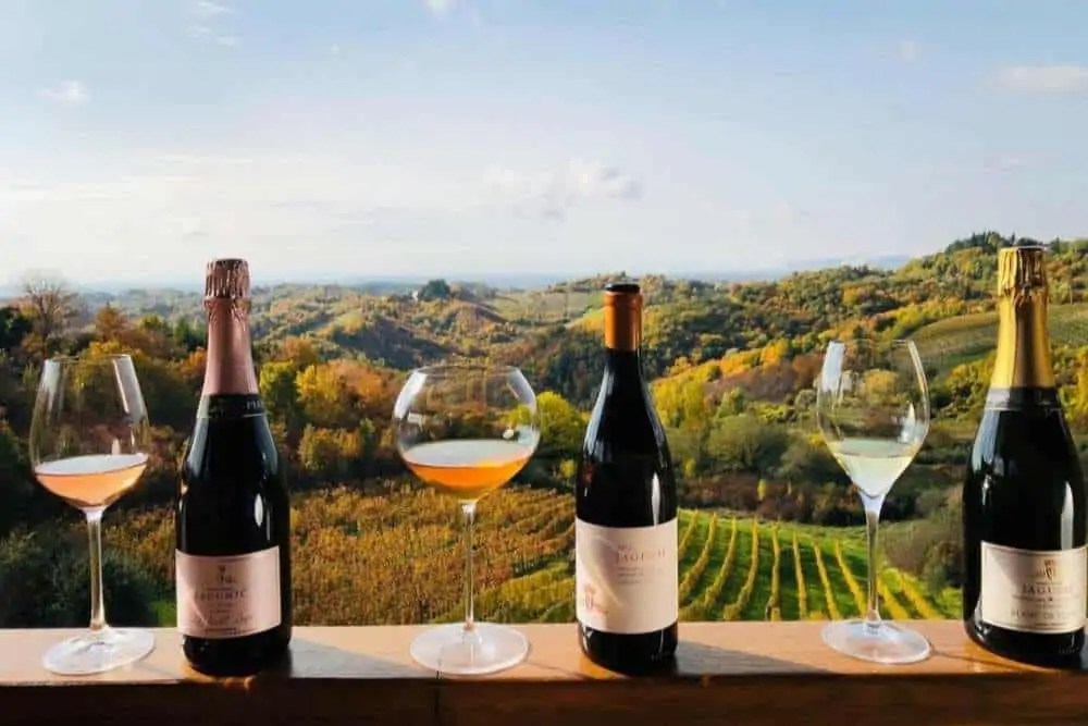 16 Wine Experiences in Croatia Top Croatian Wineries to Visit During
