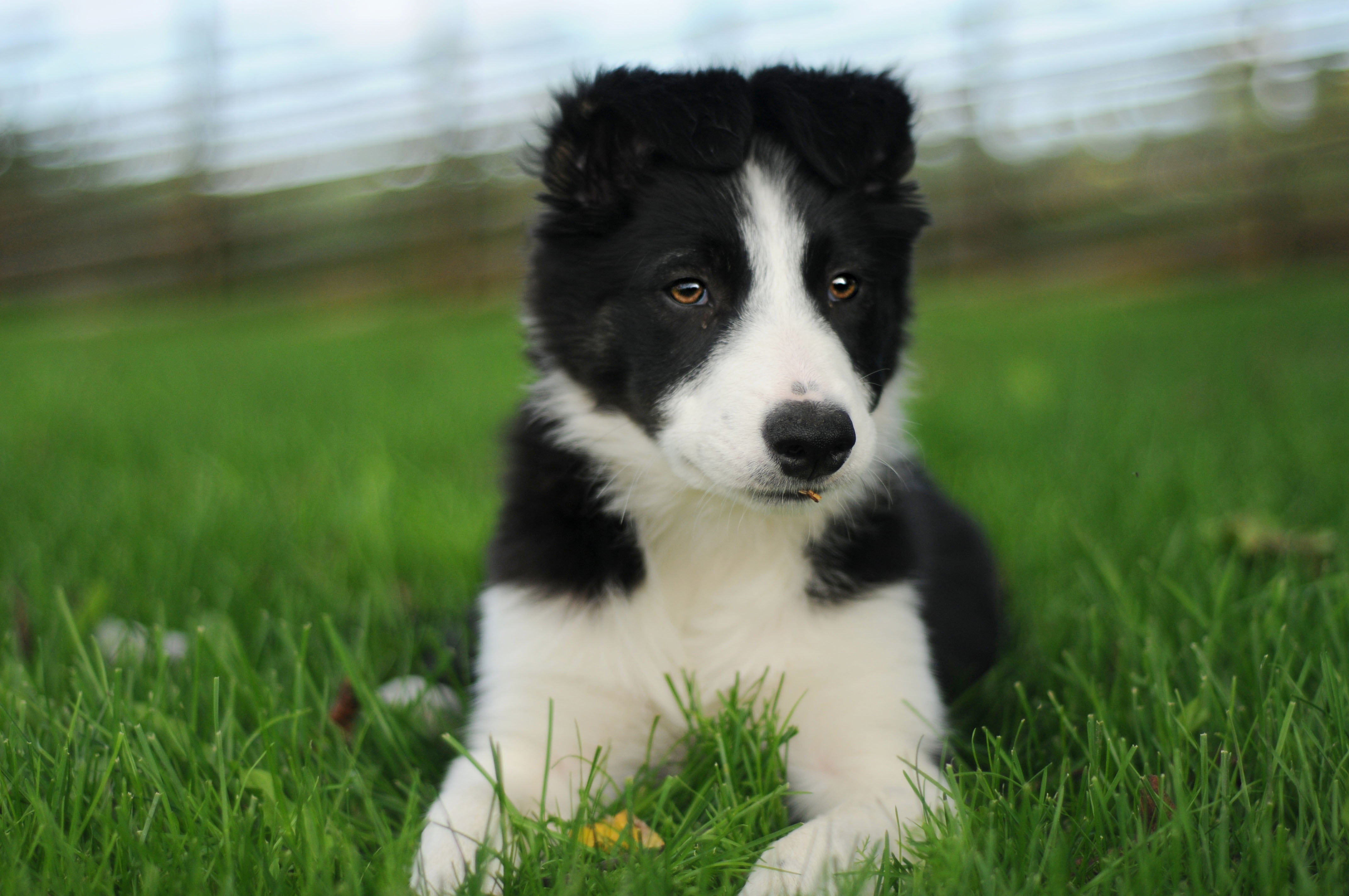 301 Moved Permanently