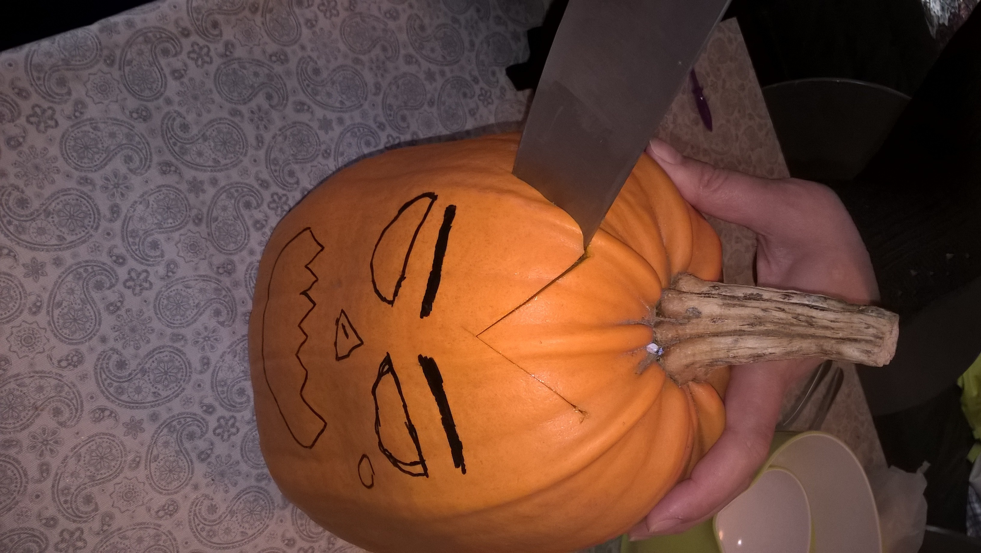 Halloween og græskar SOFIES VERDEN