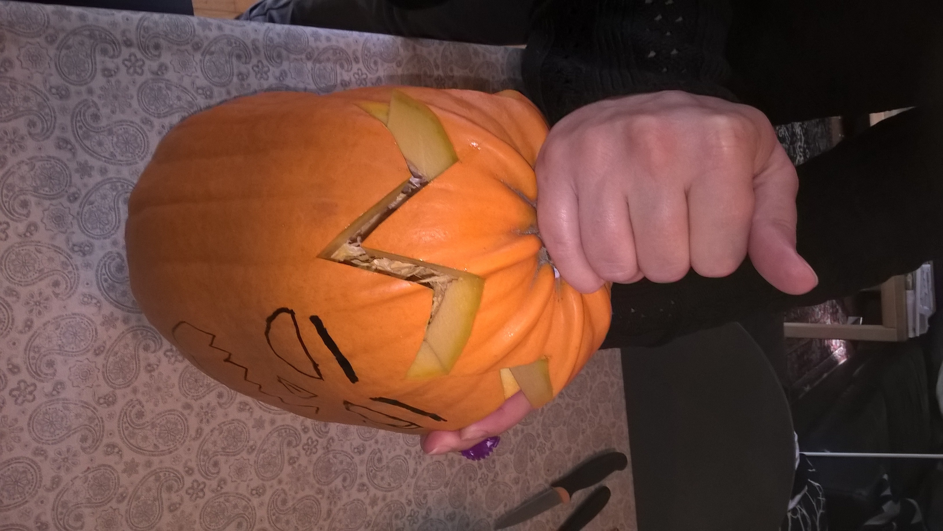 Halloween og græskar SOFIES VERDEN