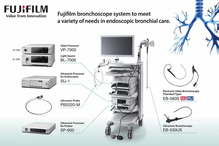 EBUS Fujifilm Pulmo Care