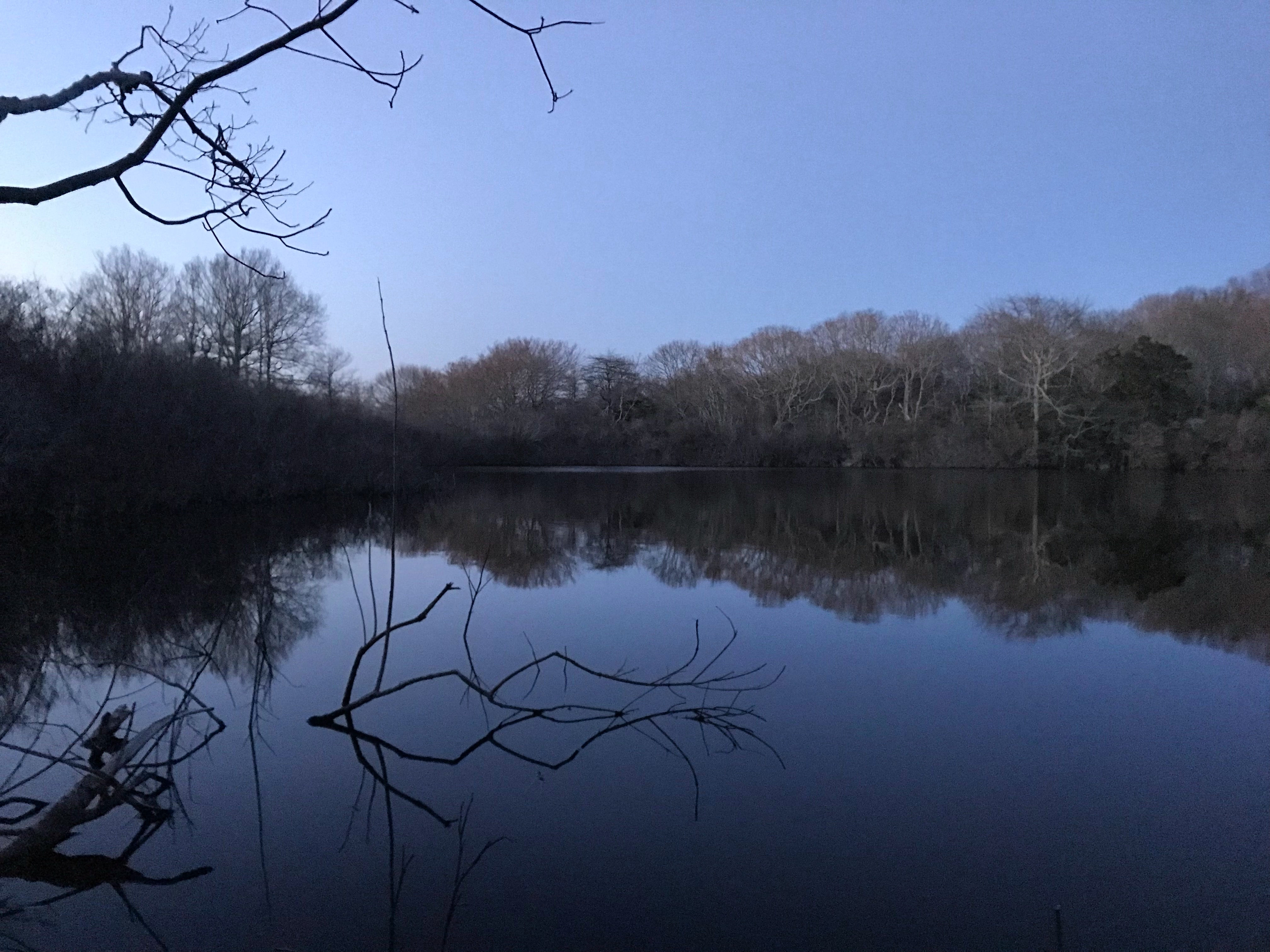 CANCELLEDMontauk Trail Hike with the at Money Pond All Ages South Fork Natural History