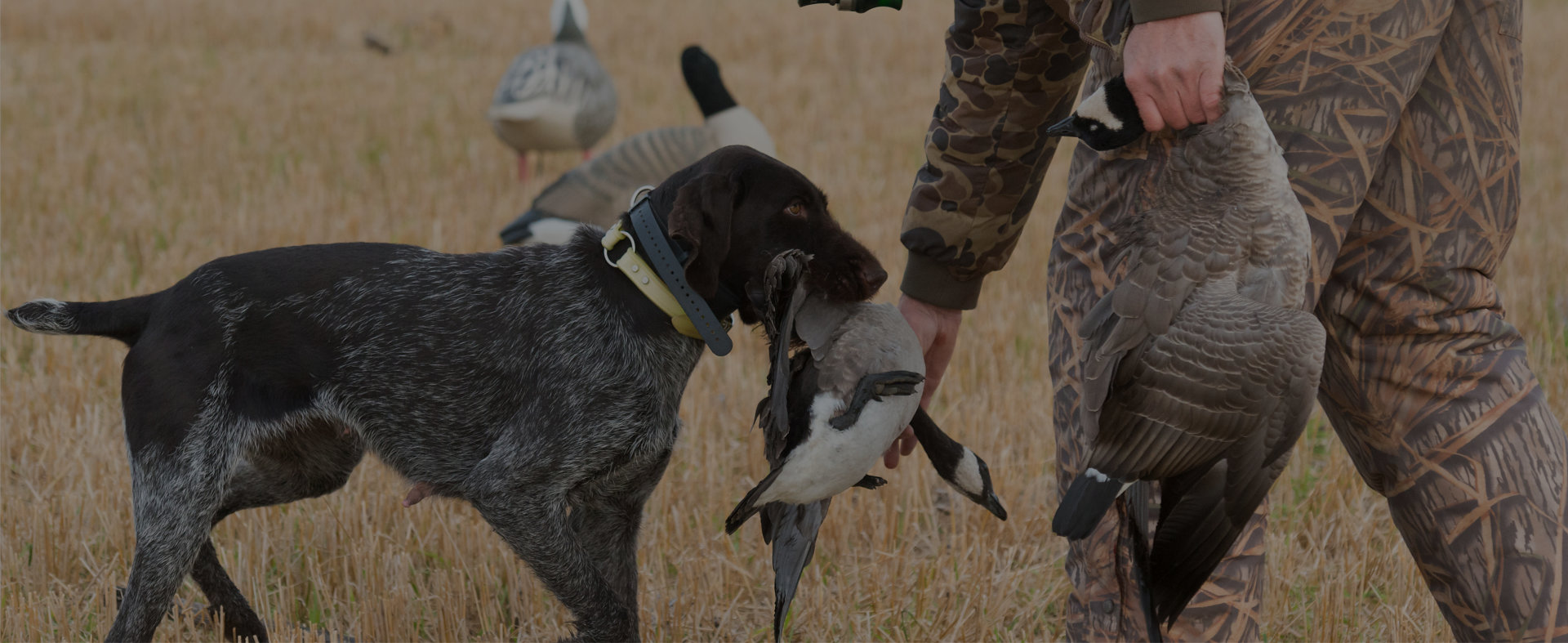 Hunting Packages SoFowl