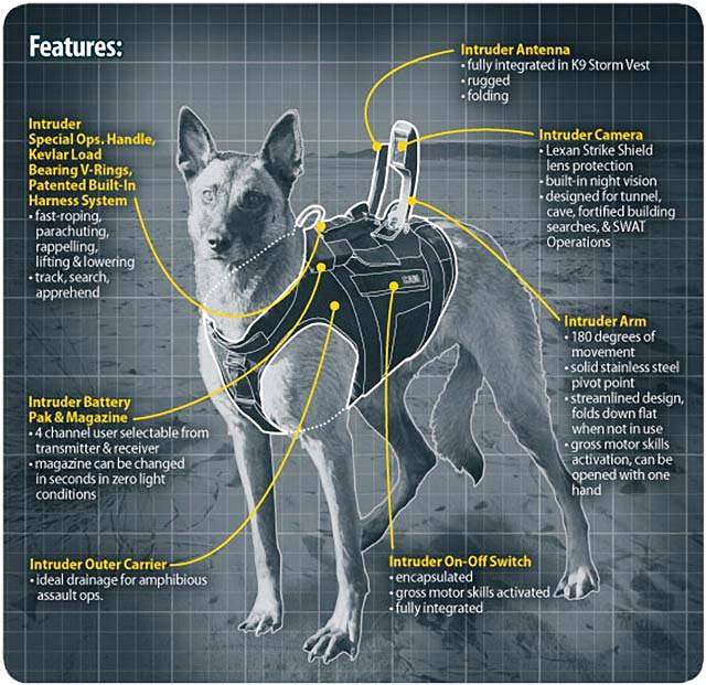 The Dogs of the Navy SEALs Navy SEALs