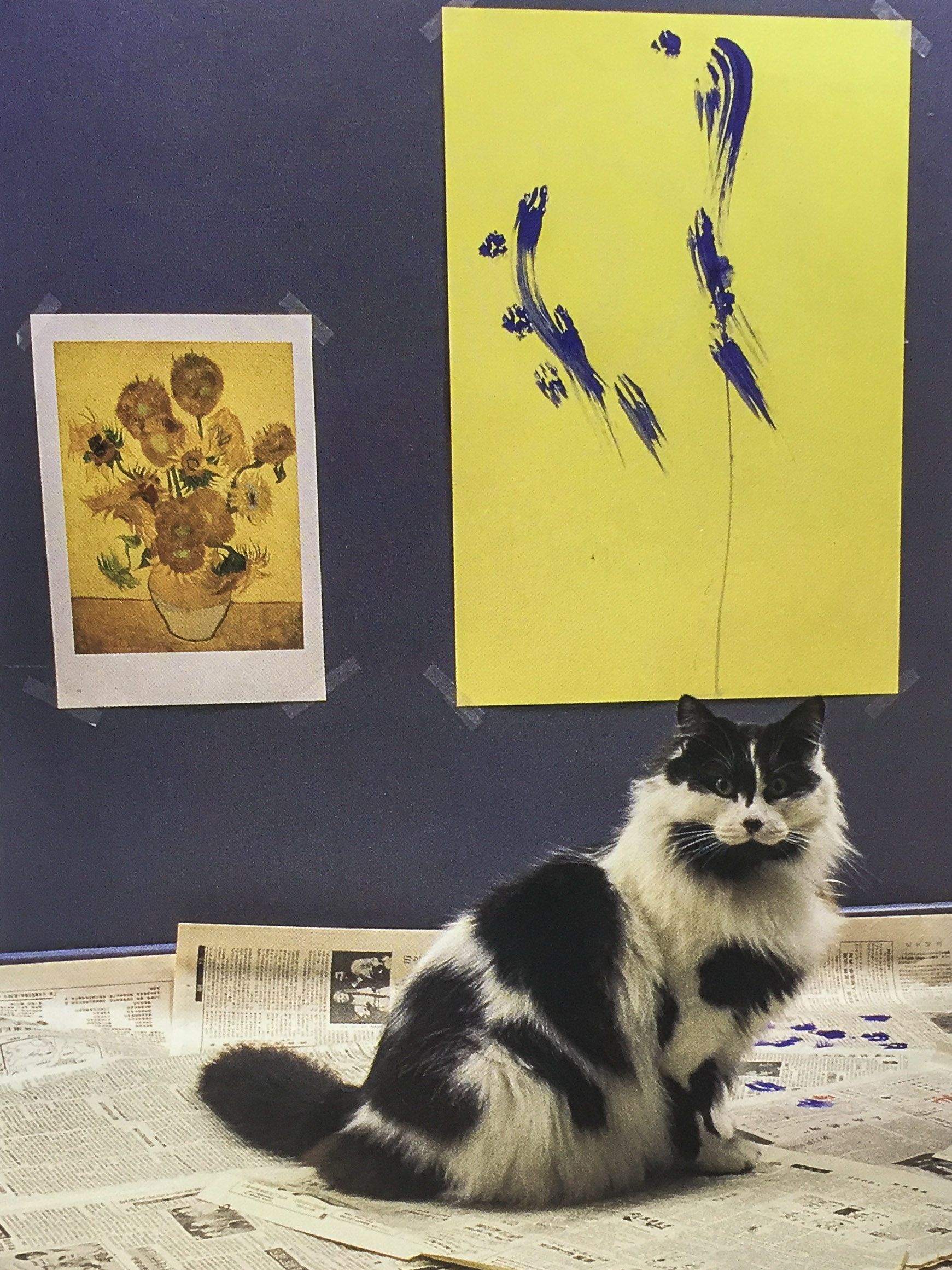 Warum Katzen Malen Mockumentary Uber Katzenkunst Sofrisch Sogut