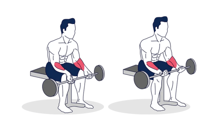 Top 9 Exercises to Strengthen The Throwing Arm in Softball