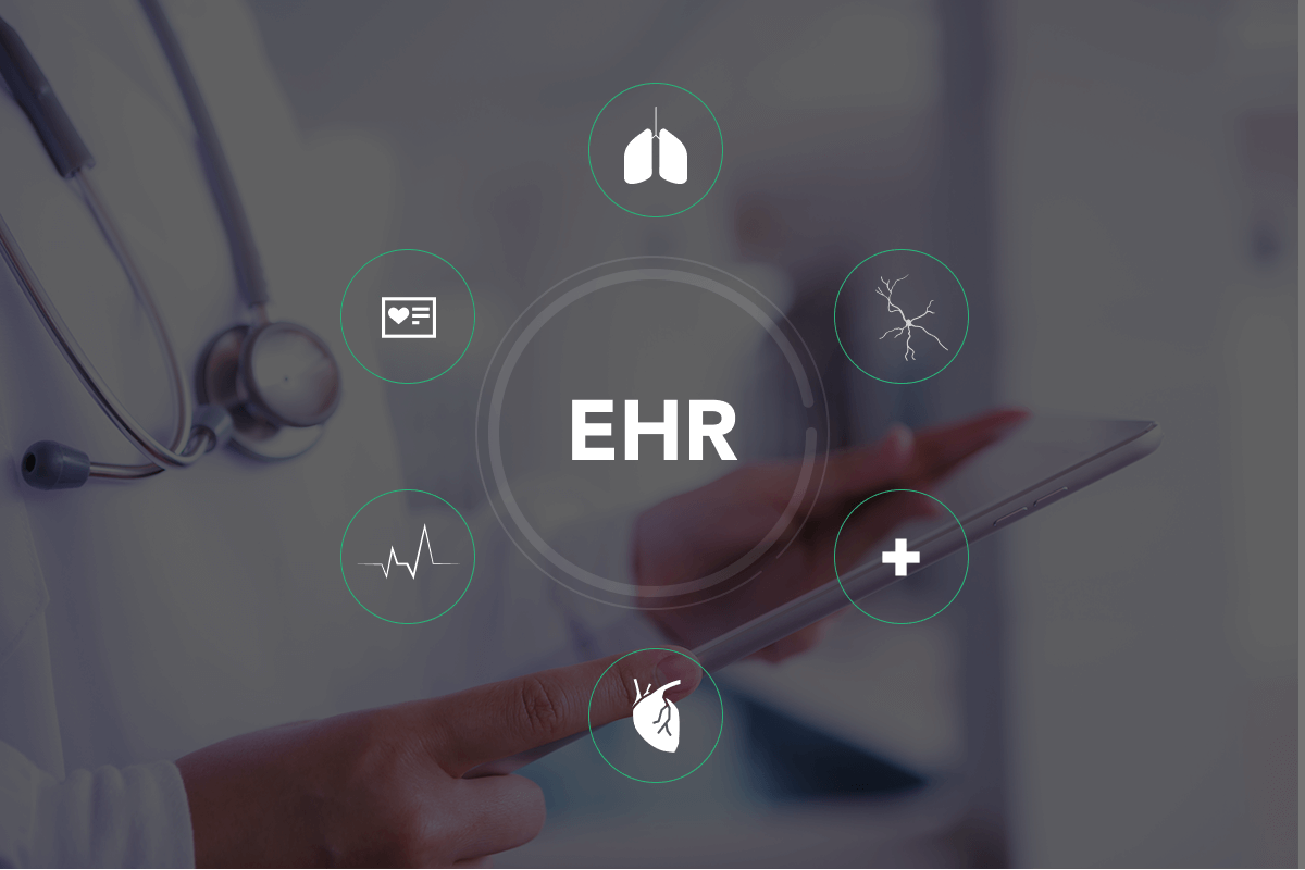 Electronic Health Record Management System