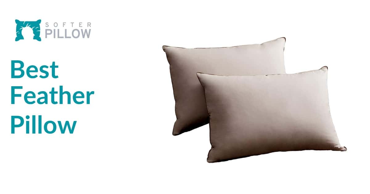 Best Feather Pillow