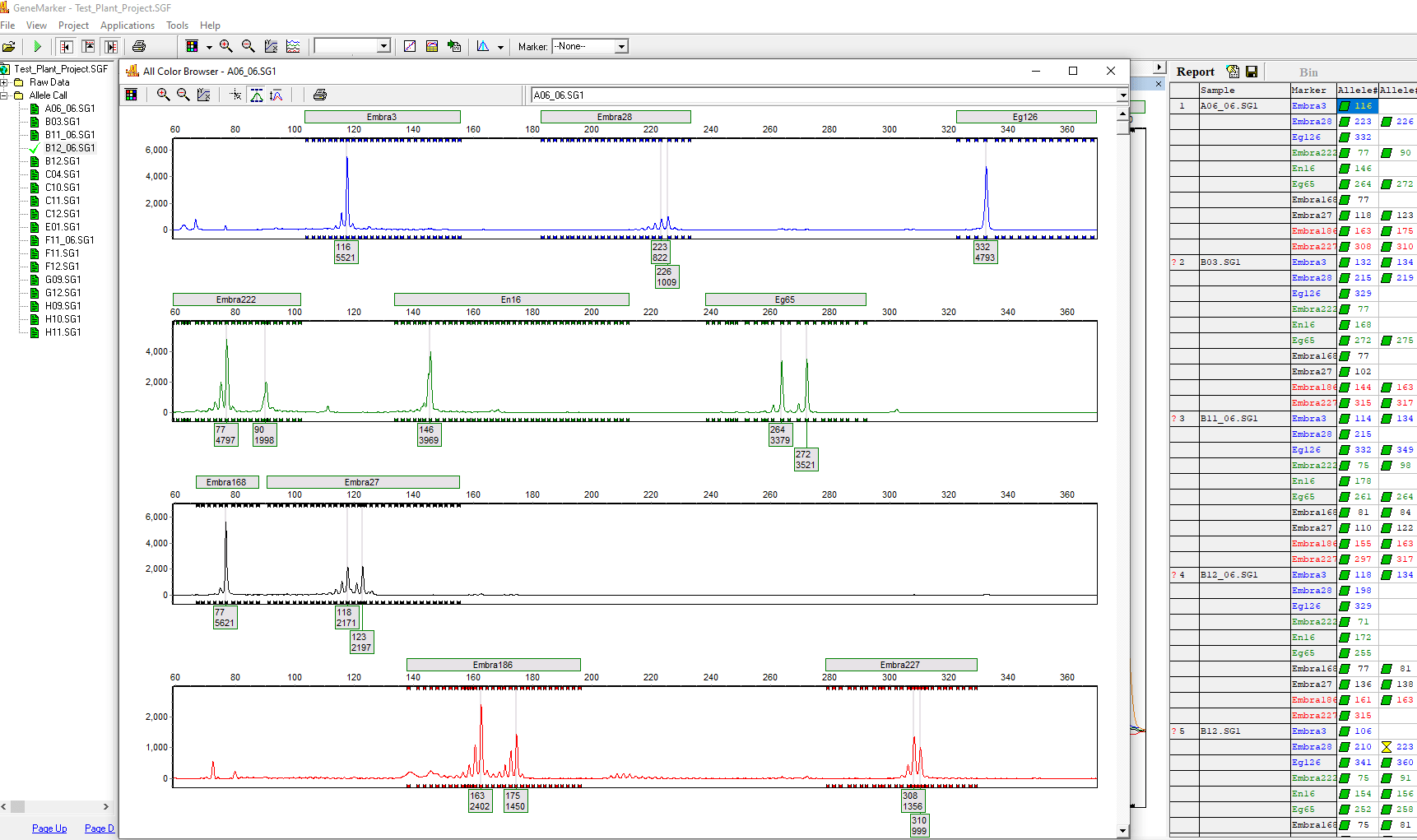 Microsatellite Analysis