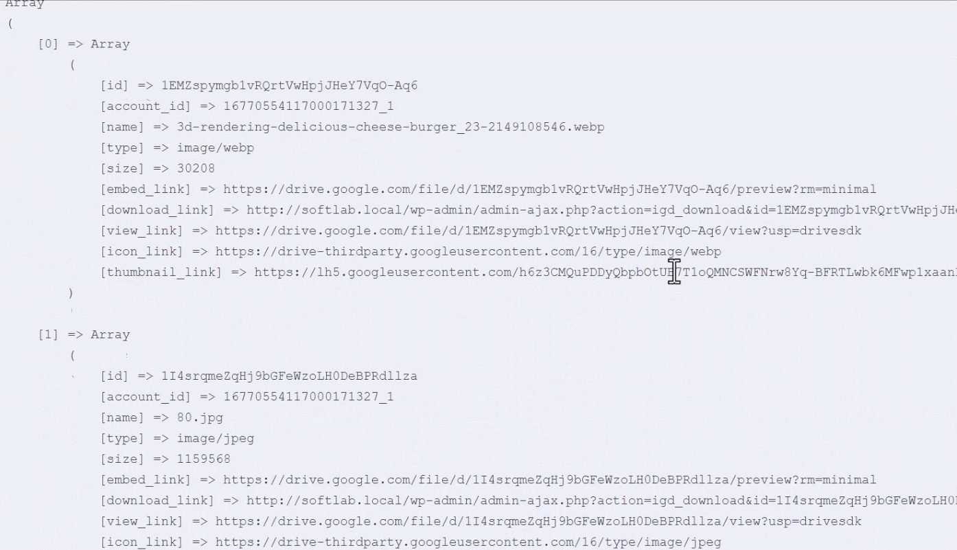 How to Use Integrate Google Drive with Advanced Custom Fields (ACF)?