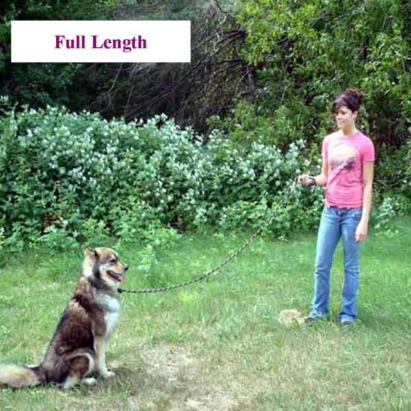 MultiPurpose Hands Free "Ultra Lead" 1/2", Dogs, Arthritic and