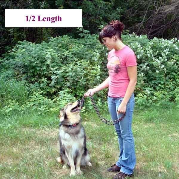 MultiPurpose Hands Free "Ultra Lead" 1/2", Dogs, Arthritic and