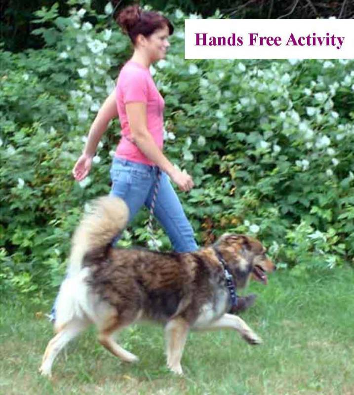 MultiPurpose Hands Free "Ultra Lead" 5/8", Dogs, Arthritic and