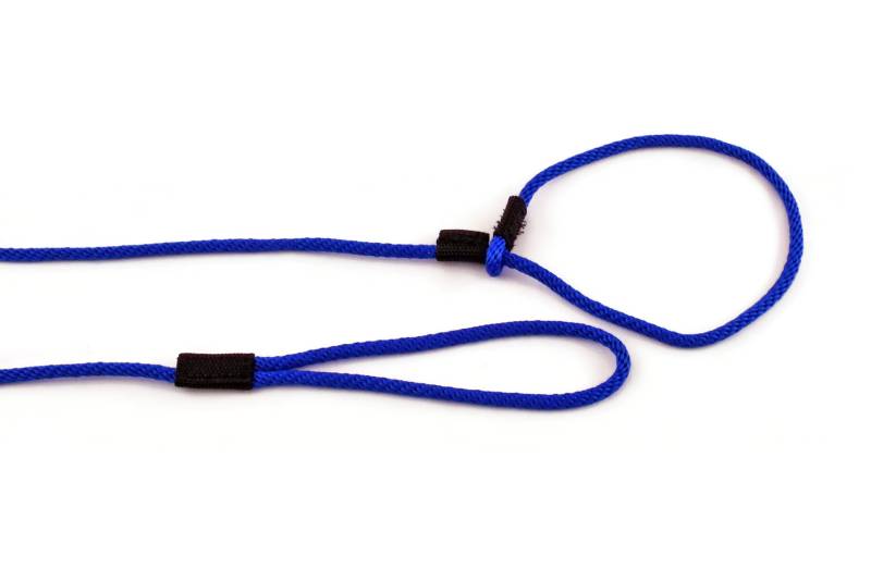 Dog Slip Leash/Slip Lead 8 Ft 1/4” Round Polypropylene