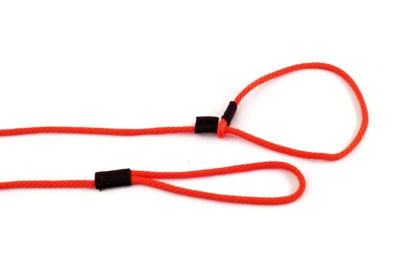 Dog Slip Leash/Slip Lead 10 Ft 1/4” Round Polypropylene