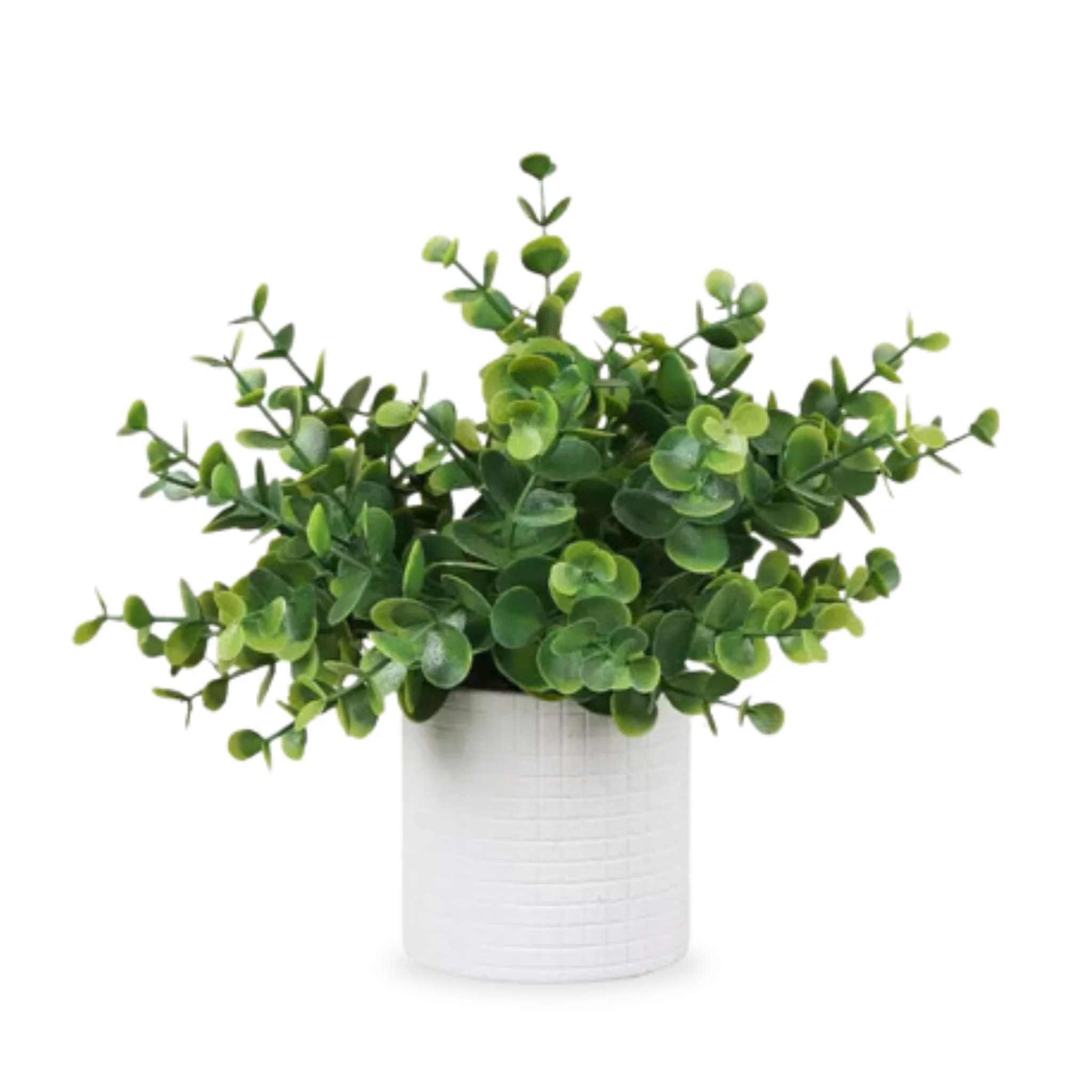 Artificial Small Eucalyptus Table Plant in Pulp Pot