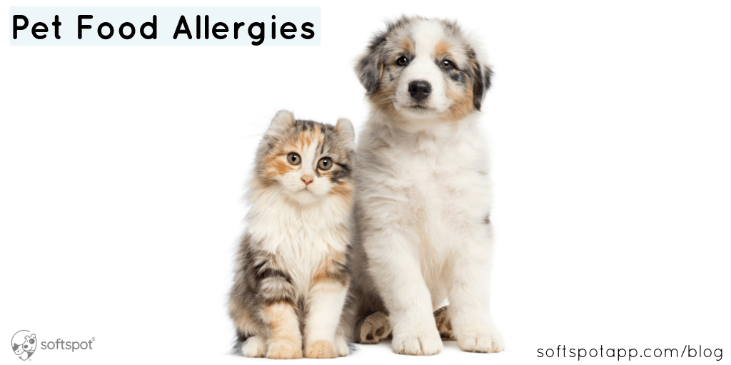 Pet Food Allergies SoftSpot®