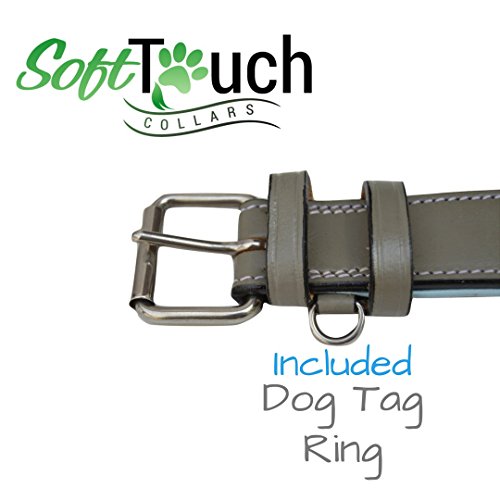 Soft Touch Collars Padded Leather Dog Collar, Large Gray and Blue