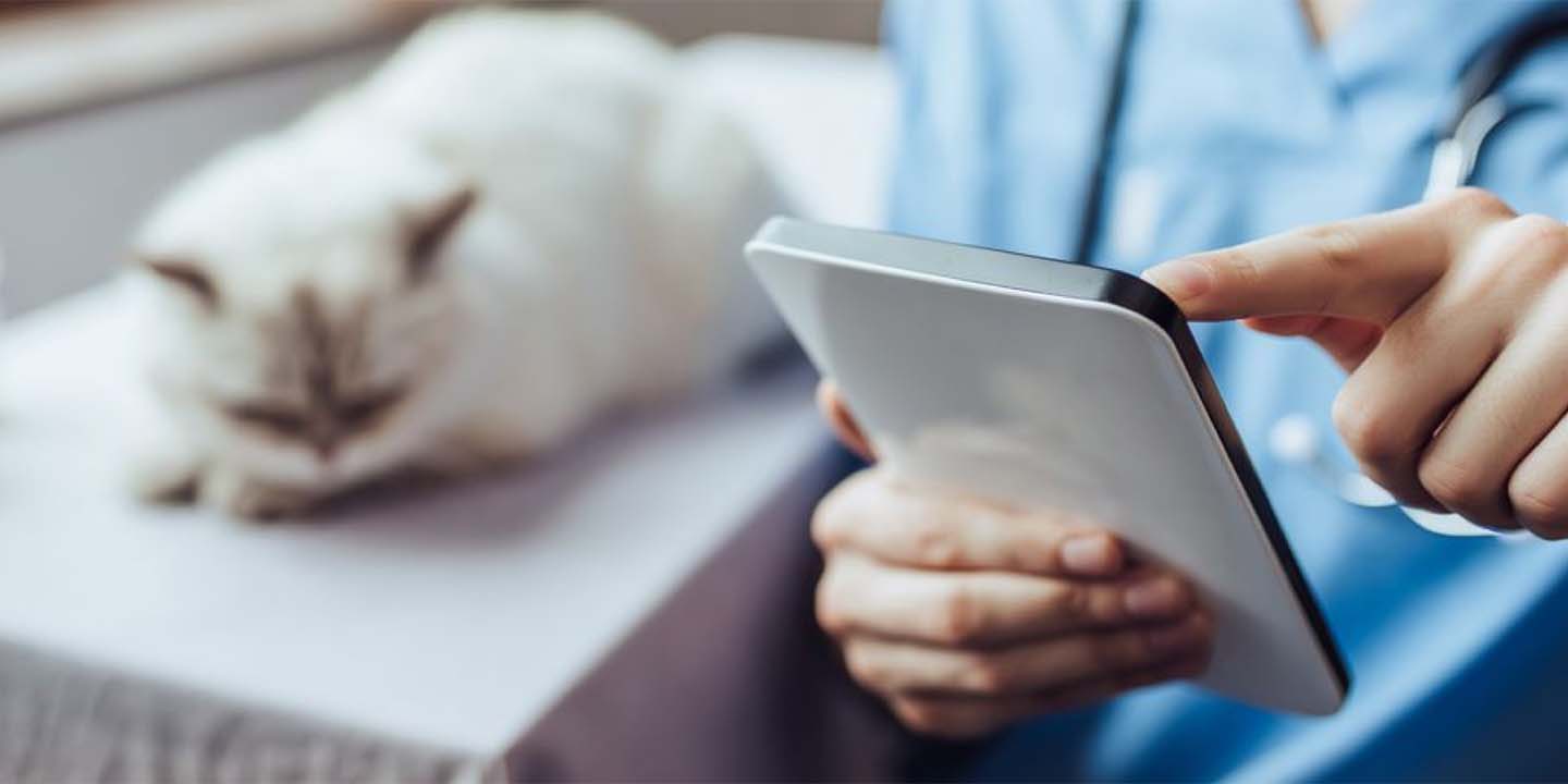 Mobile Vet Application Covetrus UK, Europe, MEA