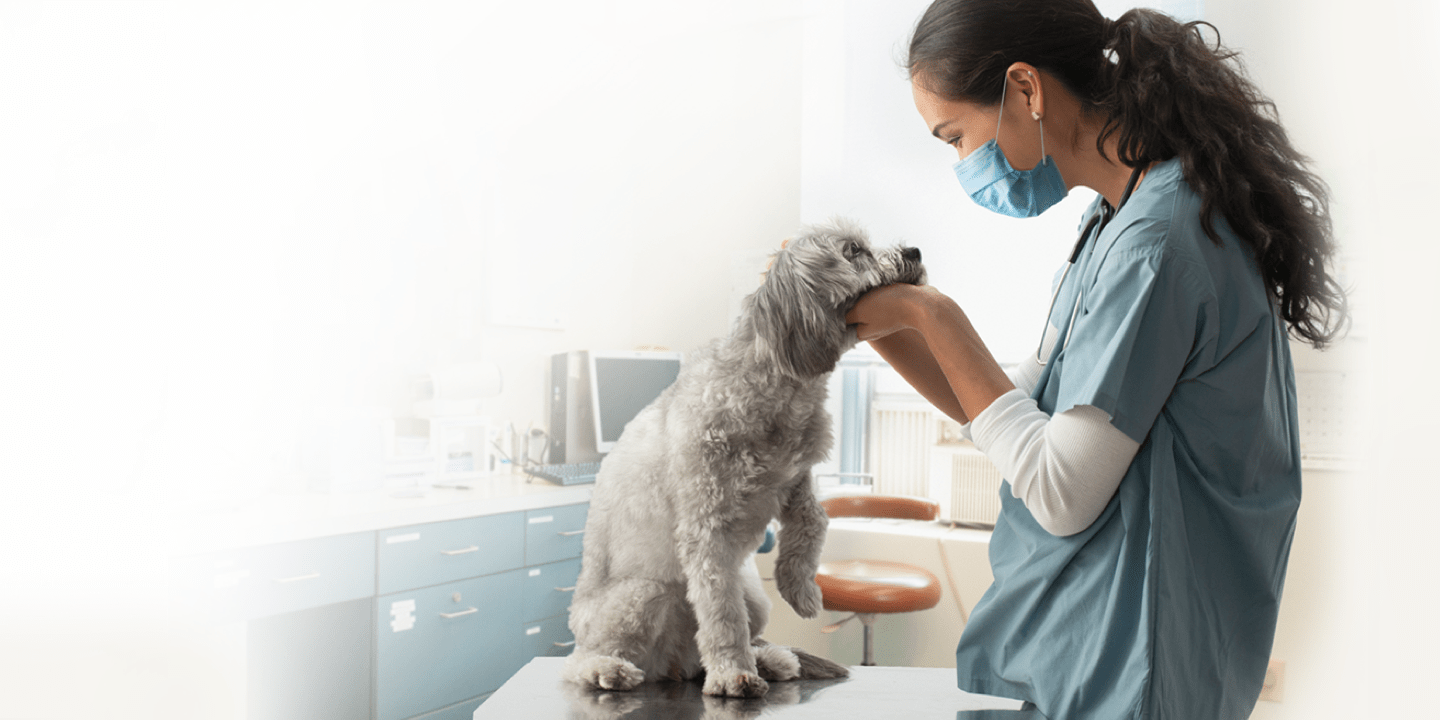 Covetrus Pulse Veterinary Operating System (vOS) Cloudbased Software