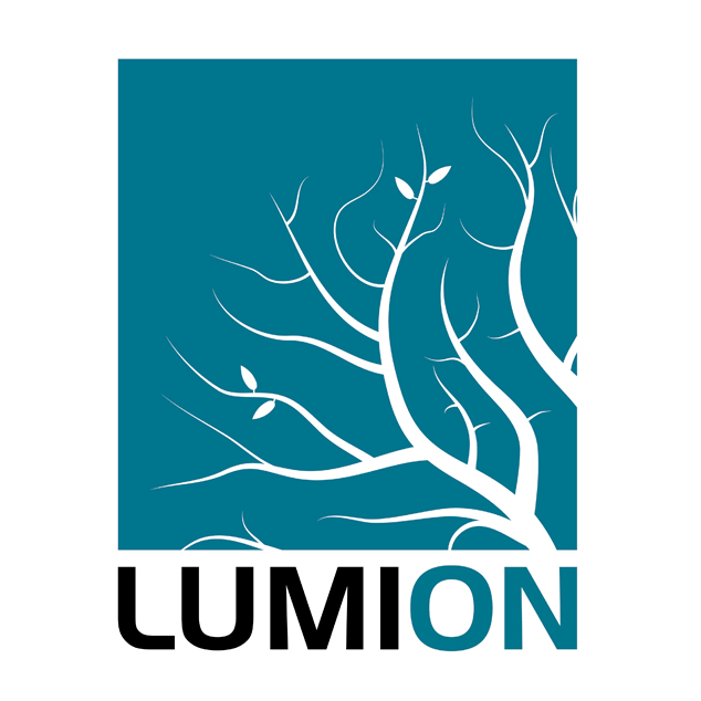 Lumion