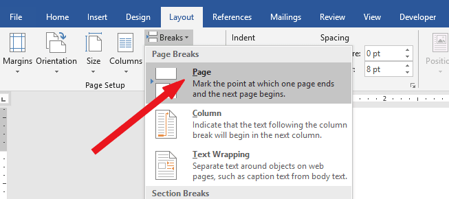 Page break shortcut in MS Word Software Accountant