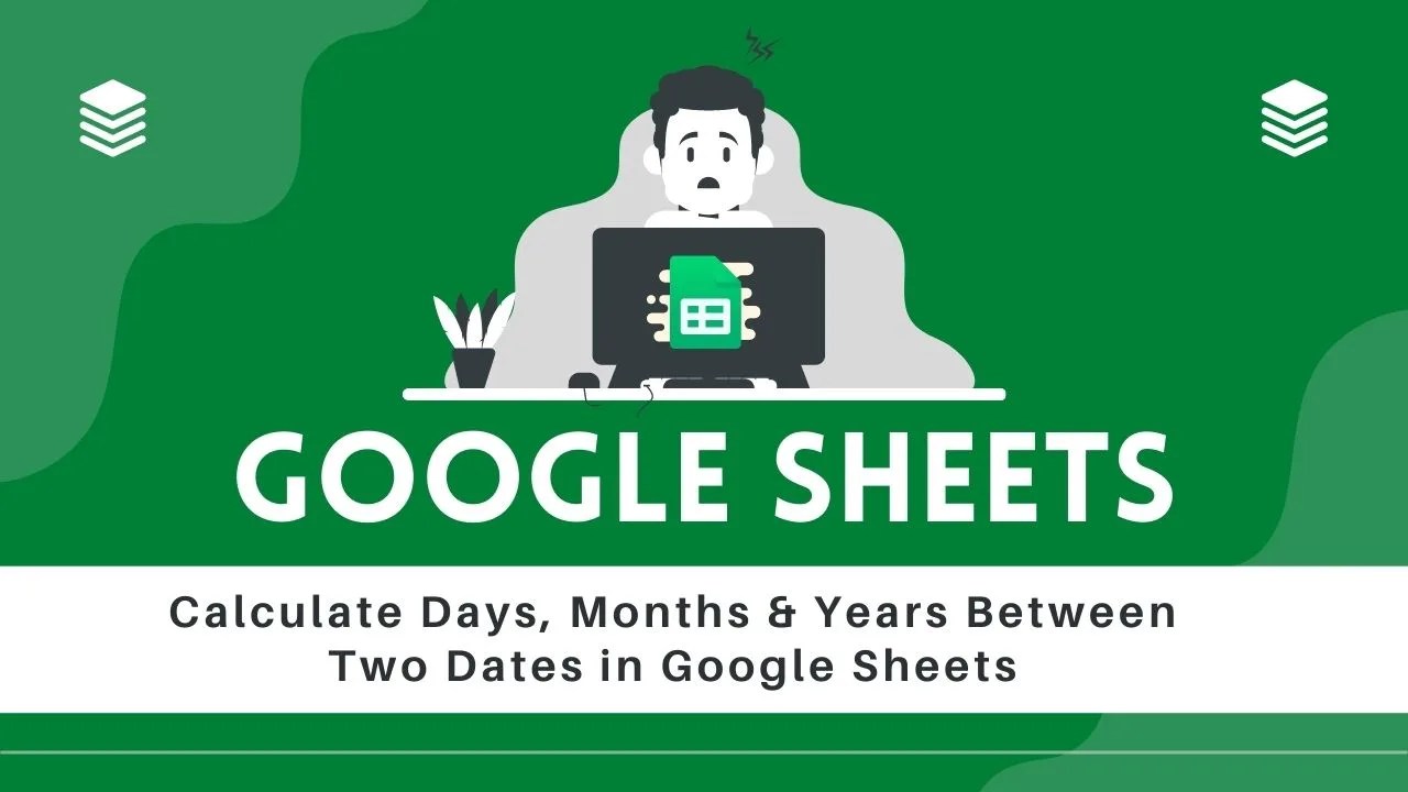 How to Filter Rows And Columns in Google Sheets Software Accountant
