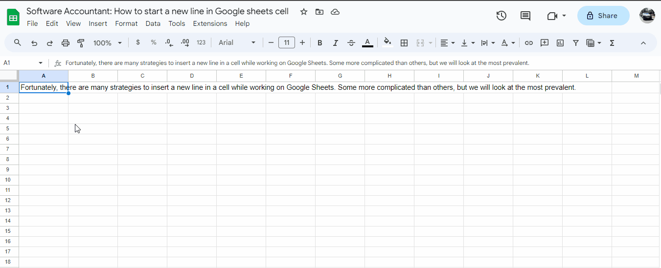 How to Start a New Line in Google Sheets cell Software Accountant
