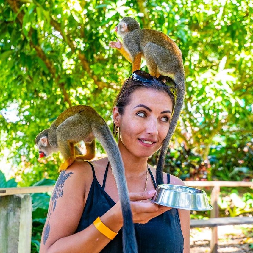 Tour de un dia completo a Monkeyland y la plantacion SOFUNRDTOUR Las Mejores Excursiones en