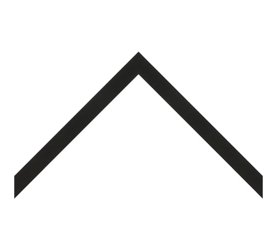 Roncesvalles Black SoHo Art & Custom Framing