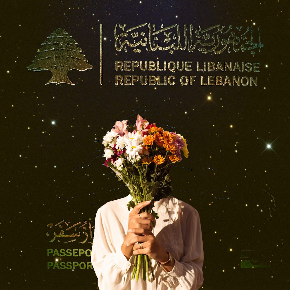 Lebanese Passport Artwork Steps of Hope