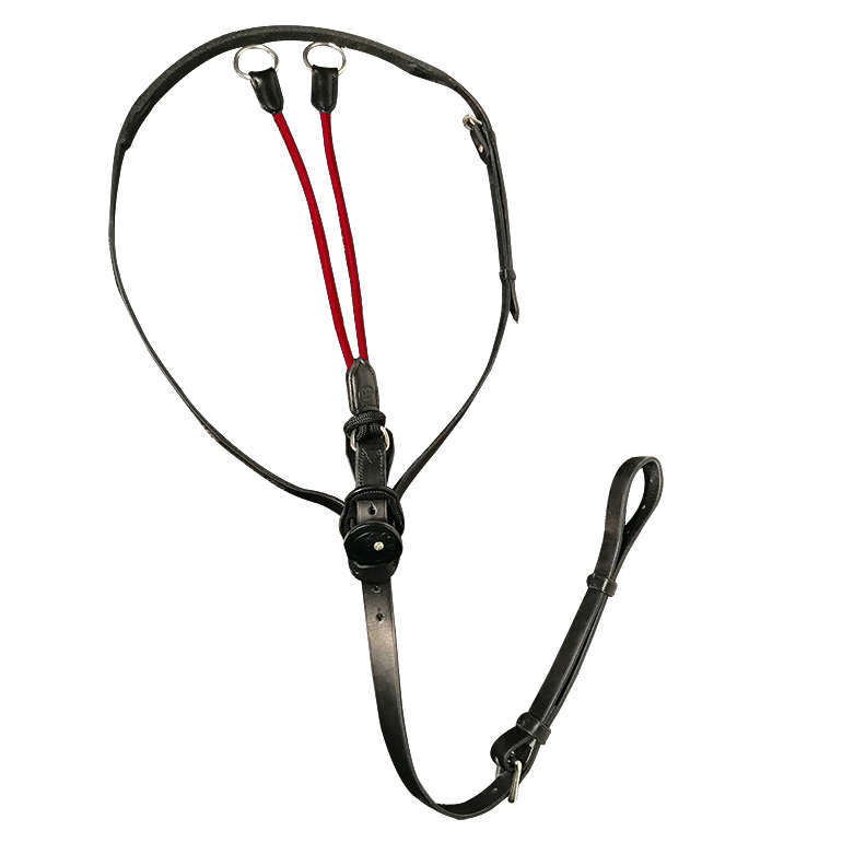 In Horse We Trust Martingale Ccure Elastique So Horse Sellerie