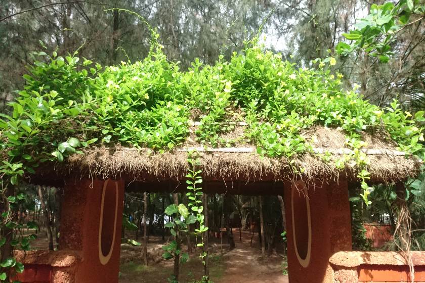 About Centre Ayurveda Yoga Village