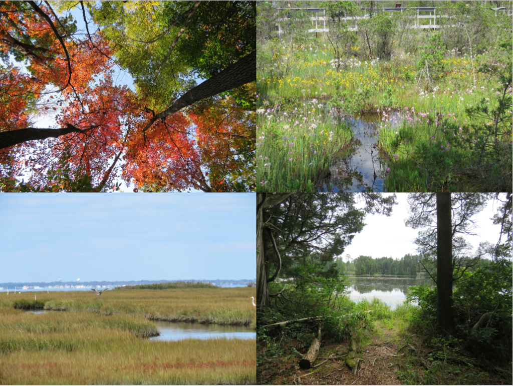 Digging Deeper Downer Soil Ocean County Soil Conservation District