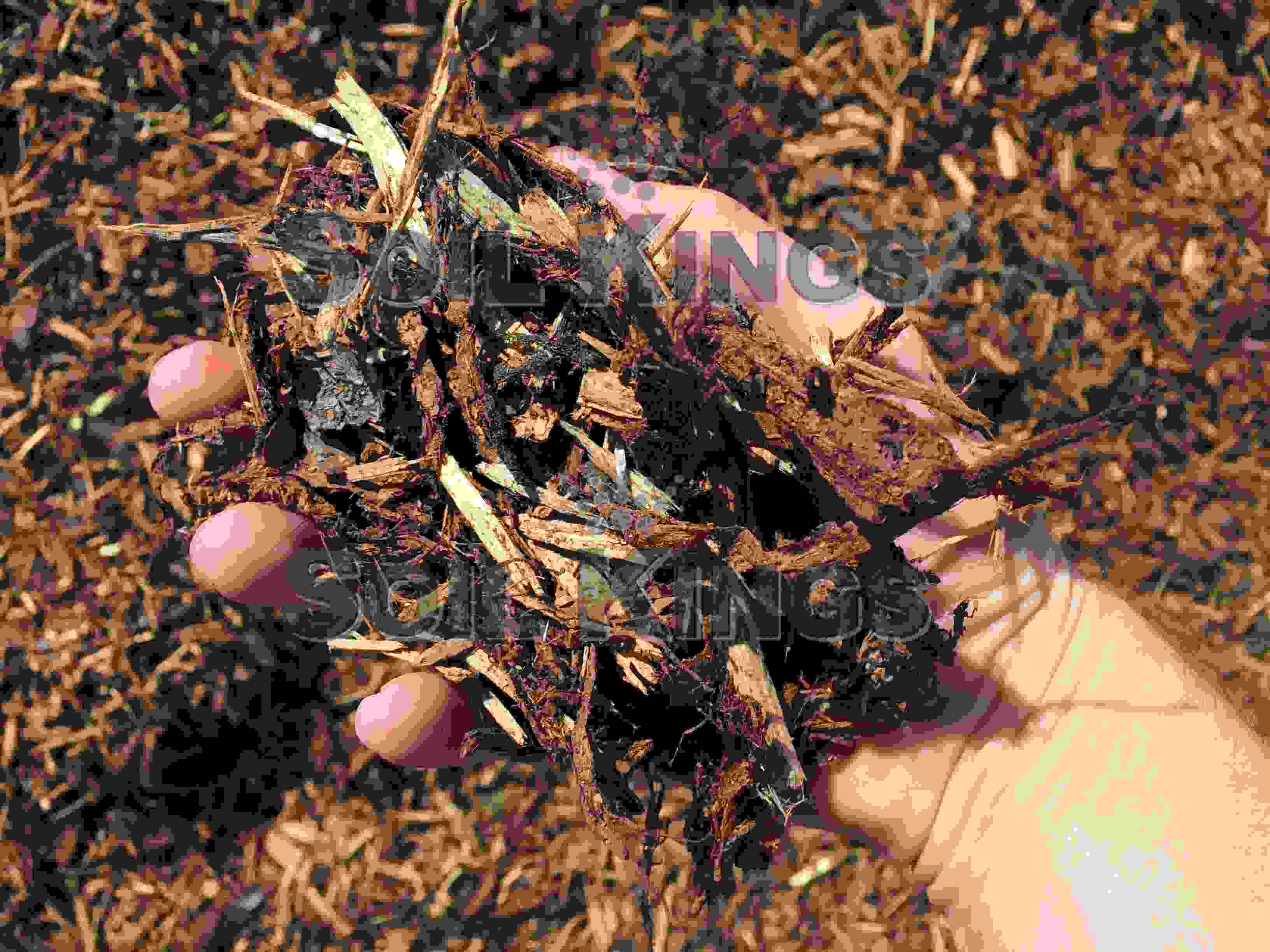 Bowcrow Mulch™ (pine & spruce mixture) Soil Kings