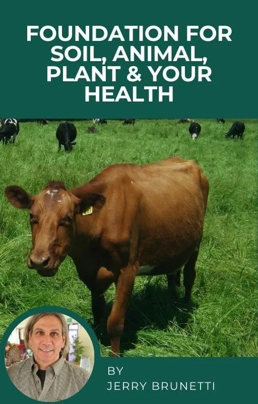 Foundation for Soil, Animal, Plant & Human Health Soil Learning Center